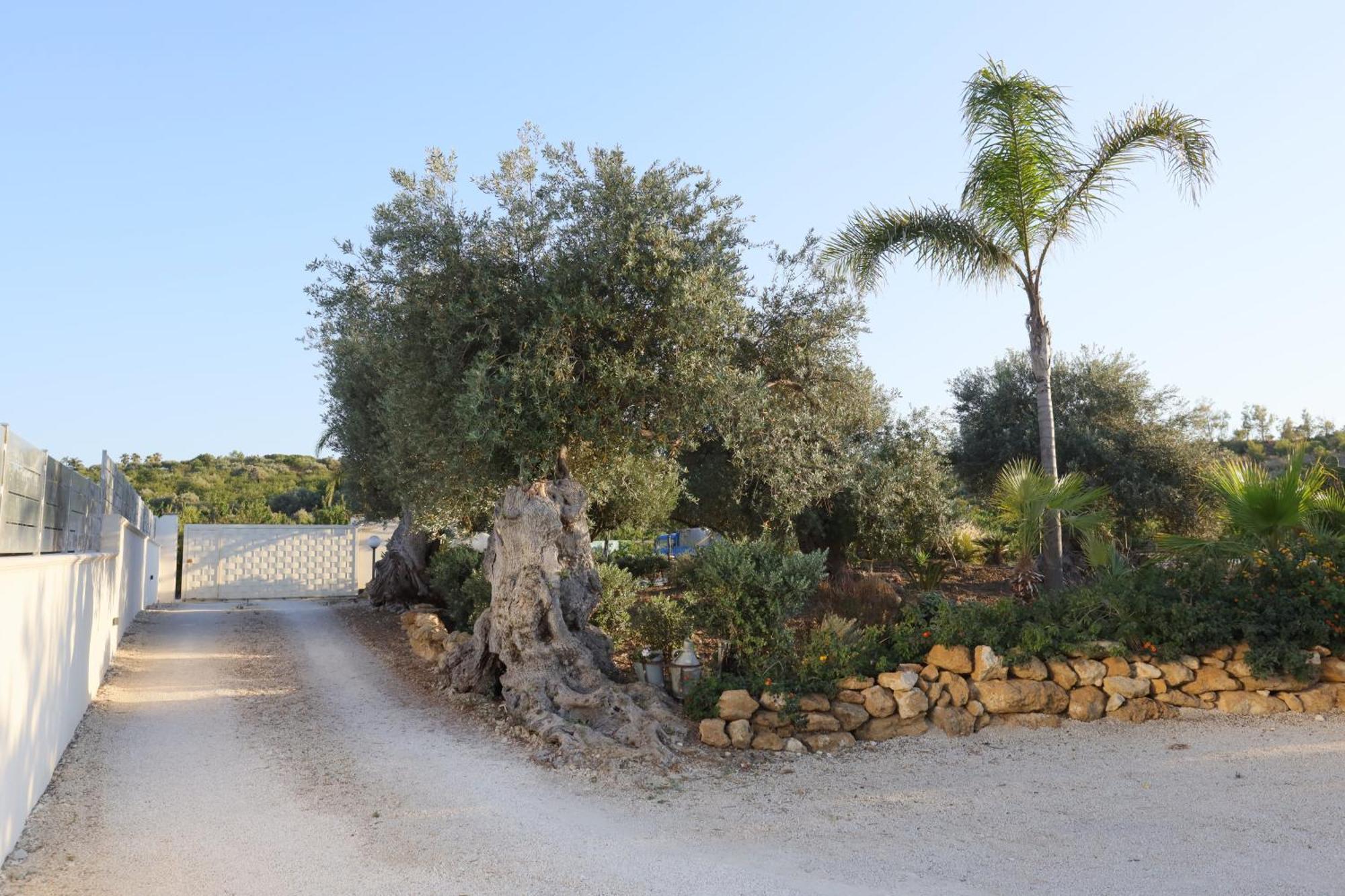 Relais Dea Degli Ulivi Hotel Agrigento Ngoại thất bức ảnh